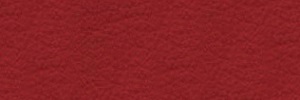 Leder S-19-Rot