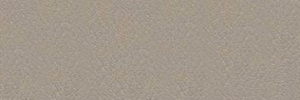 Leder S-21-Grau