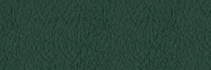 Leder S-26-Dunkelgruen